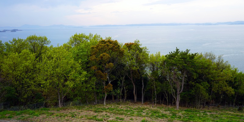 shodoshima1