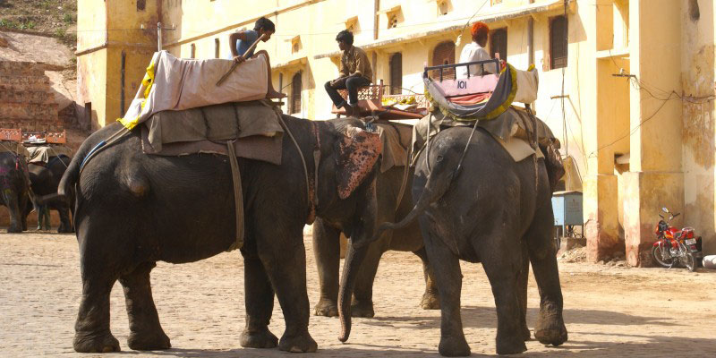 india2